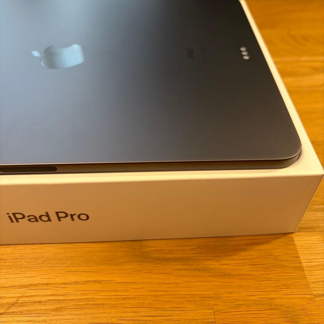 iPadPro11インチ 第1世代256GB