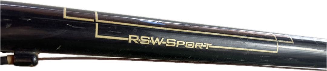 n*k様 [説明欄必読]RALEIGH RSW SPORT ミニベロ　フレームの