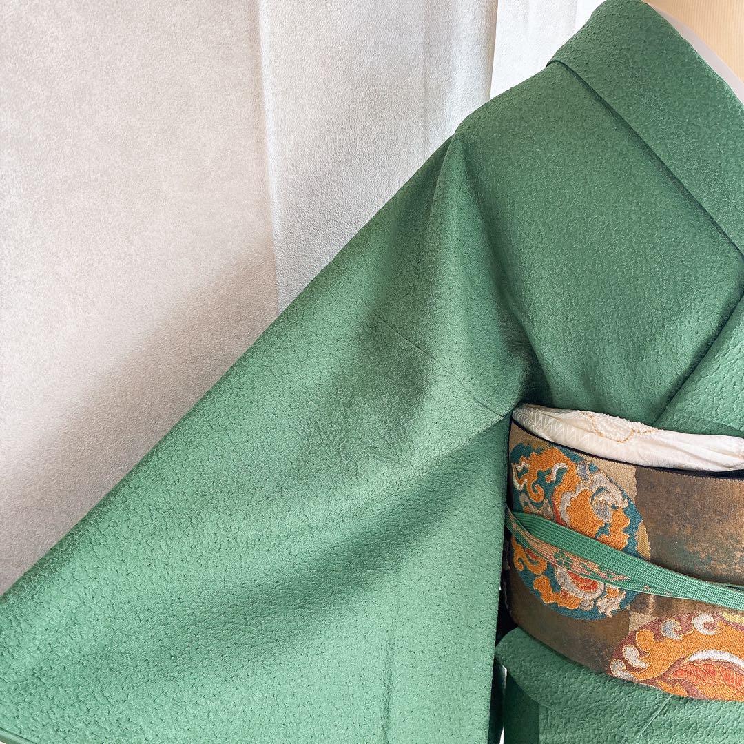 色無地　フルセット　着物　正絹　トールサイズ　緑　卒業式　入学式　N2