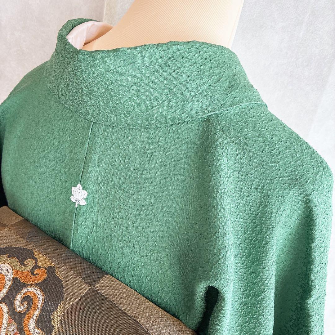 色無地　フルセット　着物　正絹　トールサイズ　緑　卒業式　入学式　N2