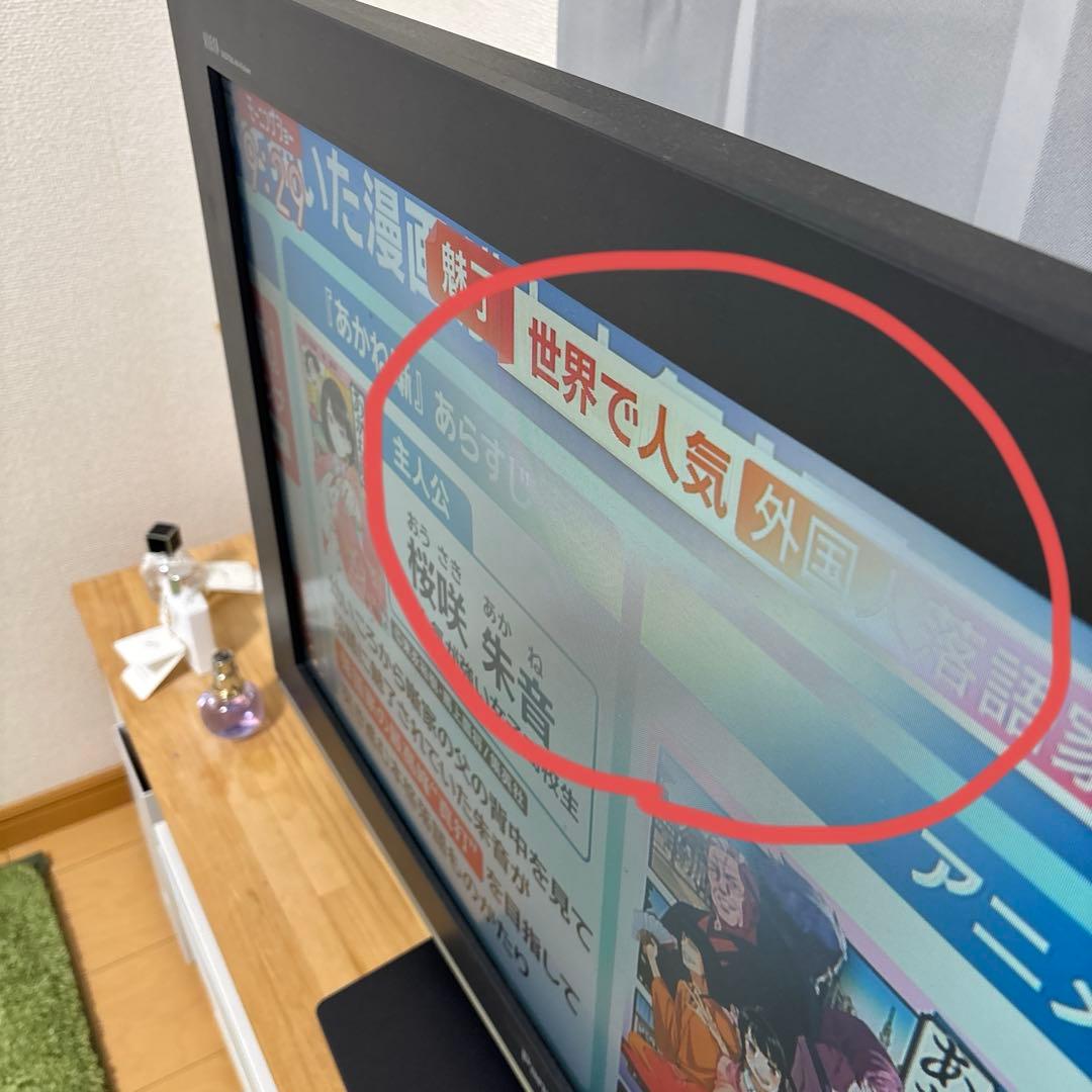 Panasonic パナソニック ビエラ 32型 ハイビジョンテレビ 動作確認済