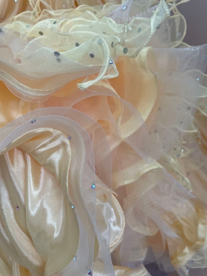 社交ダンス⭐️スタンダードドレス　オーダードレス　スワロフスキー