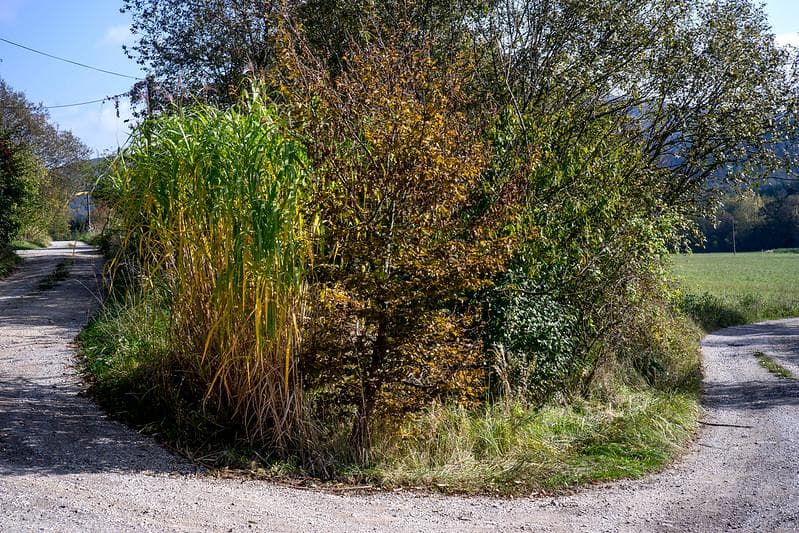 32　新品同様【分解洗浄済】後期型　ジュピター 8 　2/50 L39