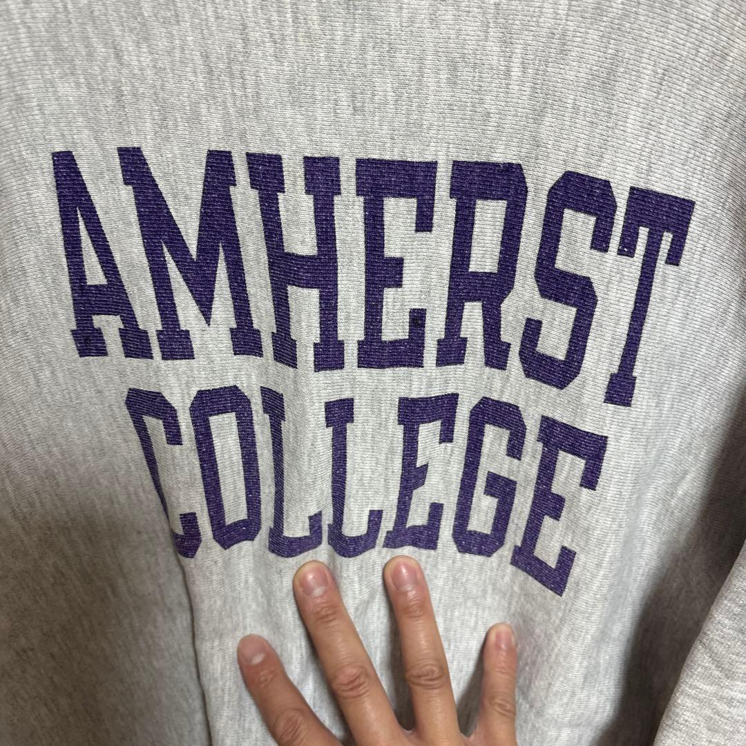 激レア！袖目無しでパープル2段染み込みプリント！！チャンピオン80sトリコタグ！