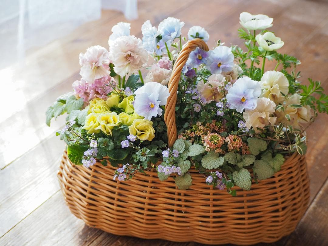オーバルバスケットのパステルカラー寄せ植え
