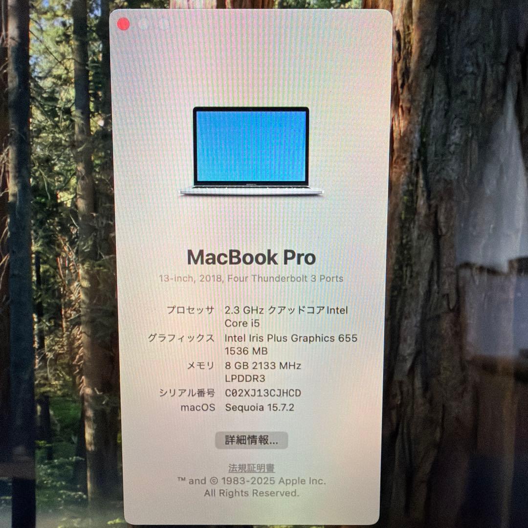 MacBook Pro 2018 256GB 8GBメモリ 13インチ