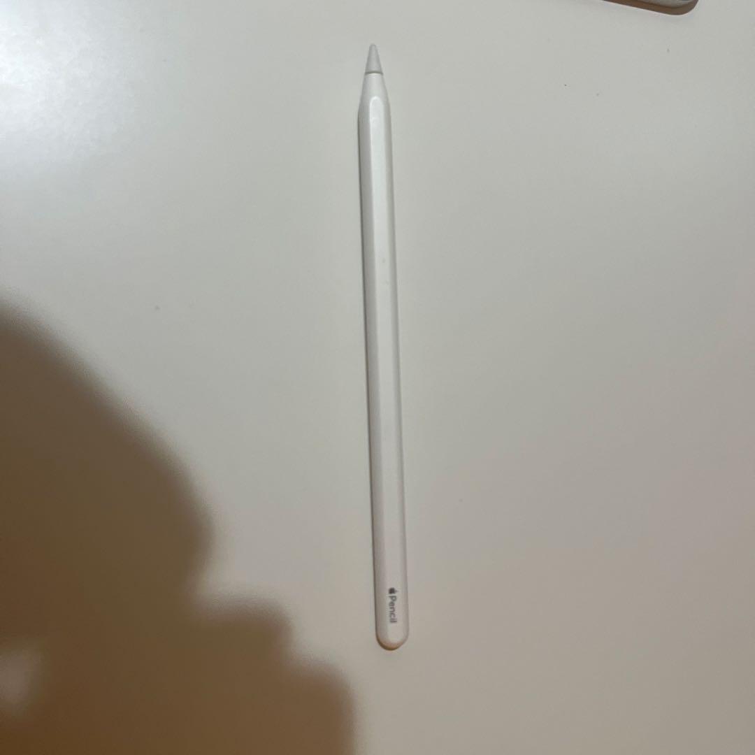 ipad pro 11インチ 第1世代 256GB [シルバー] 純正おまけ付き