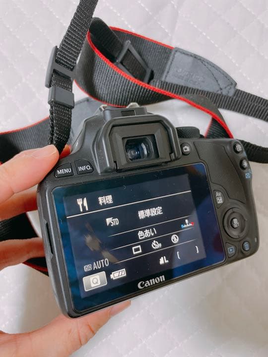 Canon EOS KISS7レンズ2本とフード付き