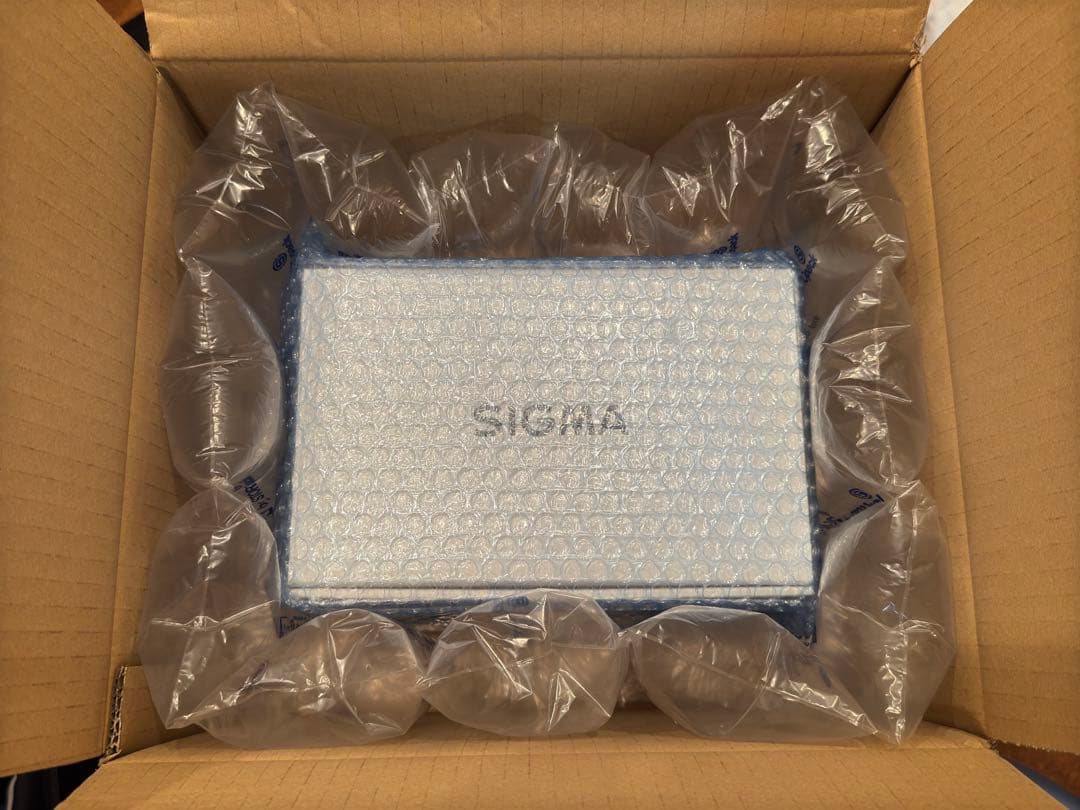 【保証期間内】SIGMA 24-70mm F2.8 DG DN II ソニーE