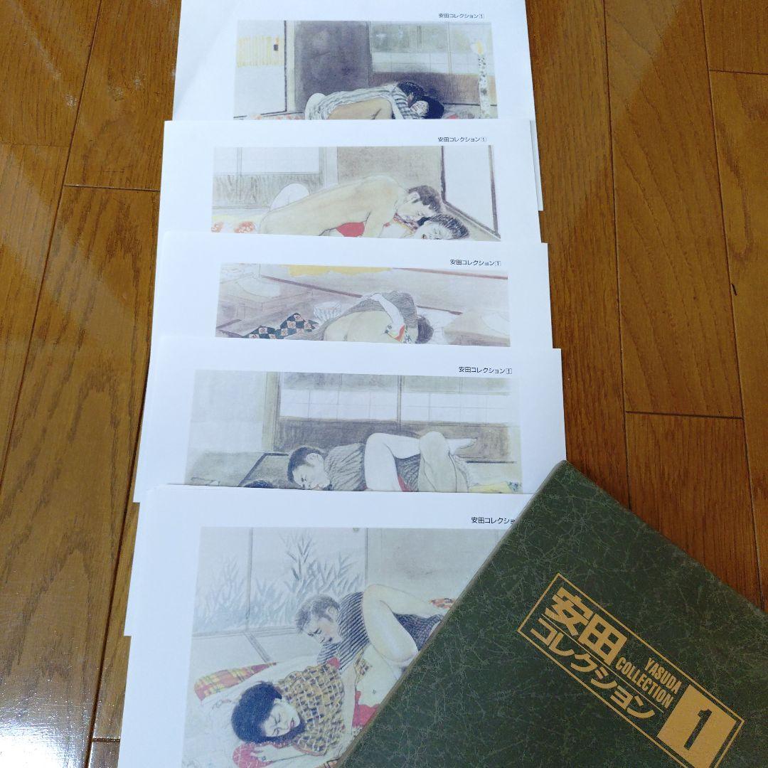 安田コレクション 1-9巻 セット