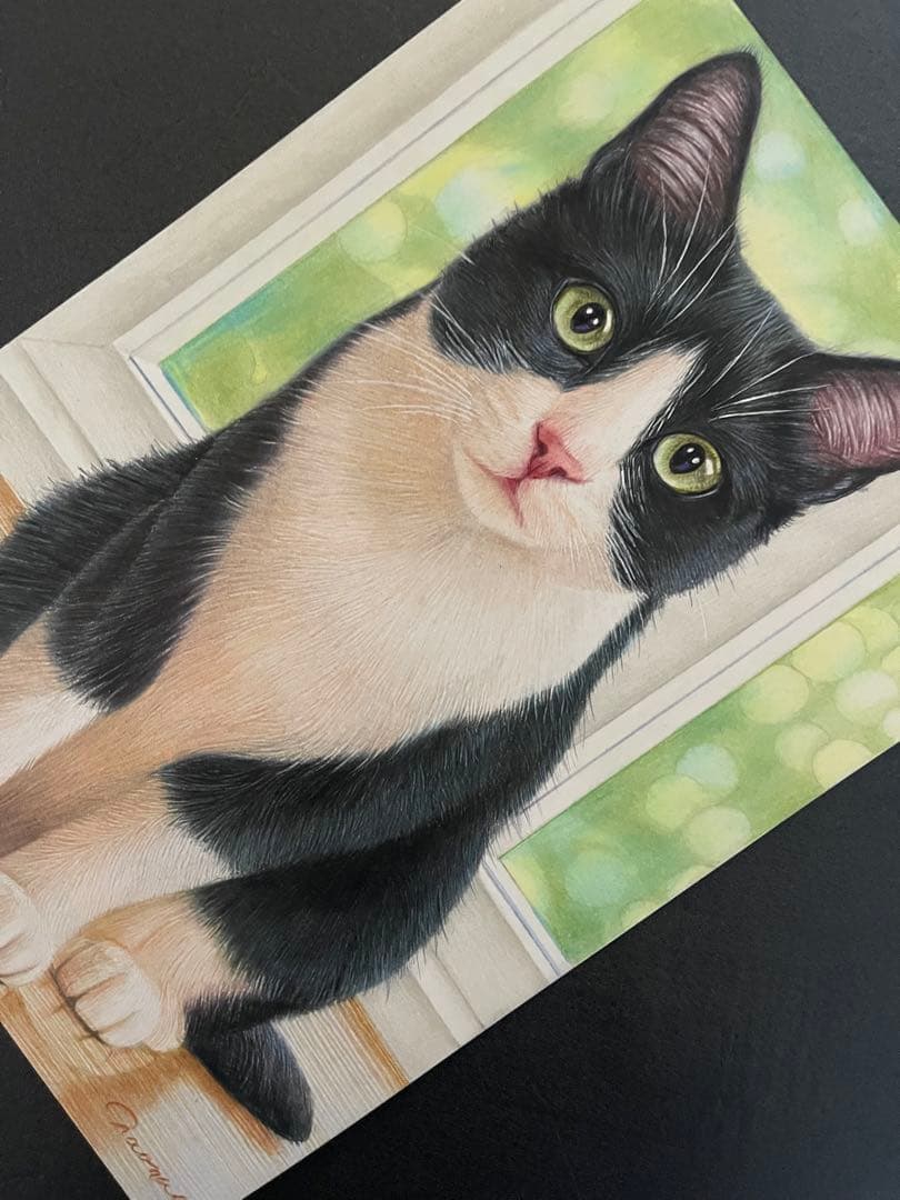 色鉛筆画 A4 ハチワレ猫126