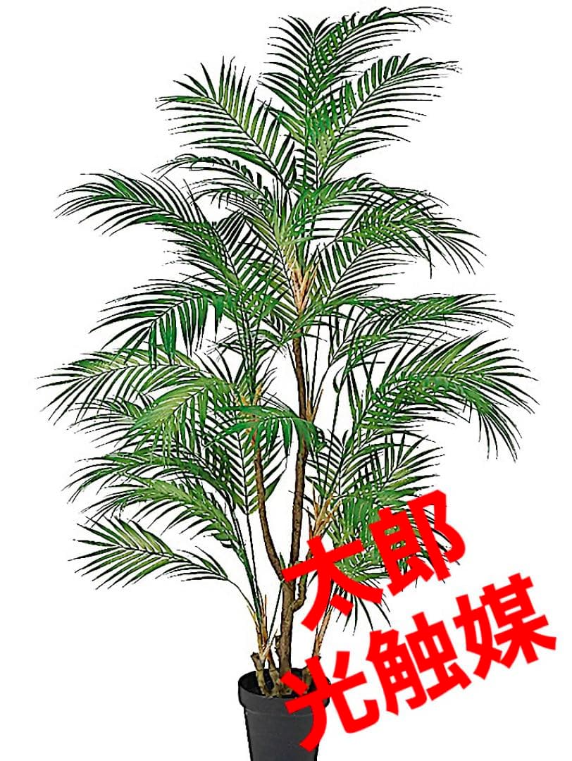光触媒　人工観葉植物　ウォールグリーン　フェイクグリーン　パームポット付き145