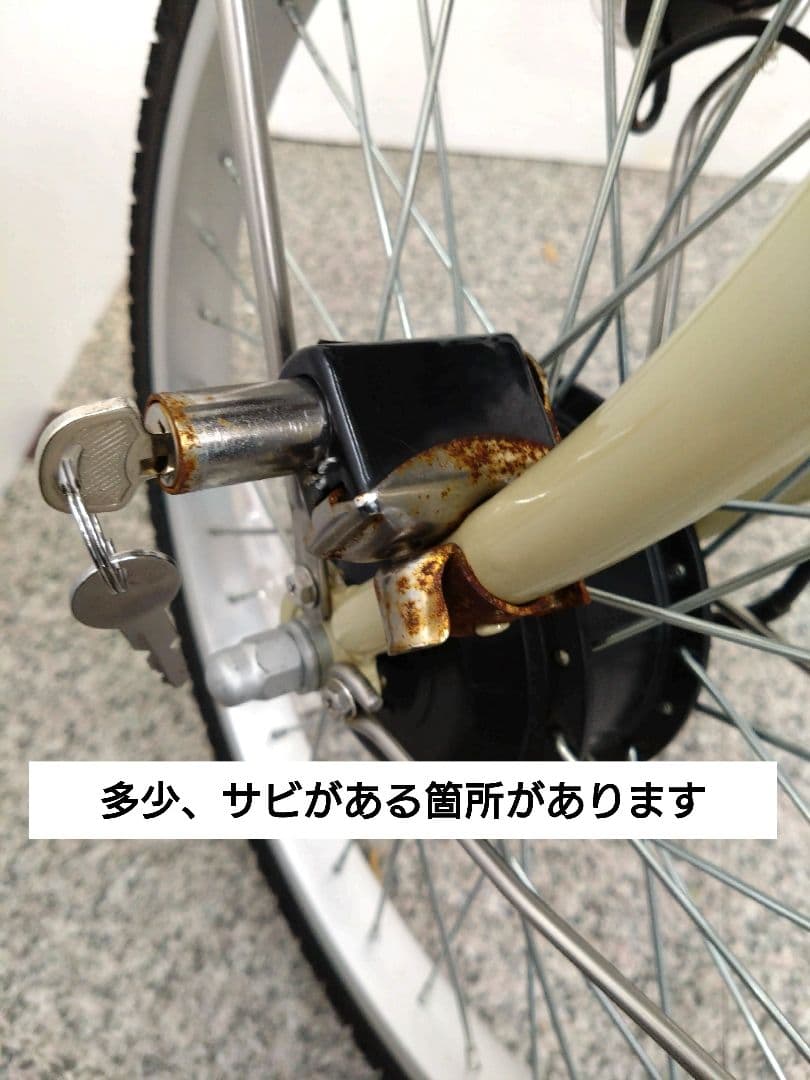 ミムゴ ノーパンク 電動アシスト 三輪自転車 アクティブプラス 20インチ