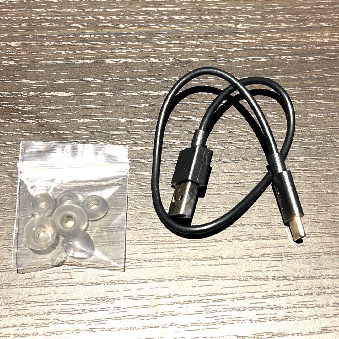 AVIOT トゥルーワイヤレスイヤホン TE-Q3ローレン・イロアス