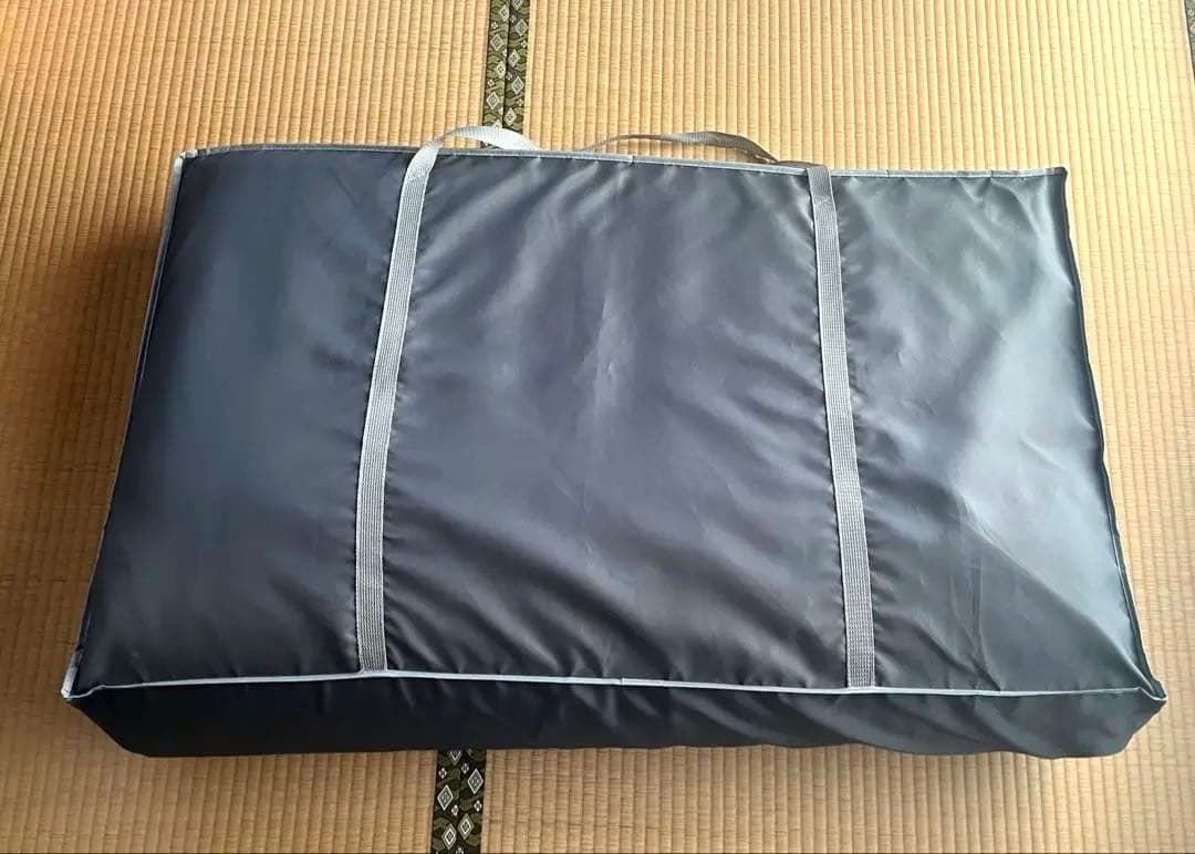 サミットインターナショナル リリードリームプラス 電位 温熱 マットレス　ピンク