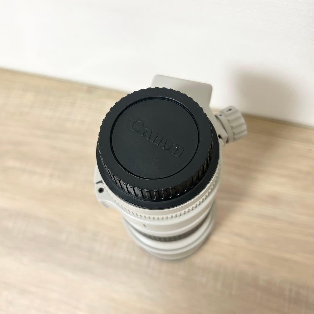 Canon キャノン LENS EF 300mm 1:4 L 望遠レンズ