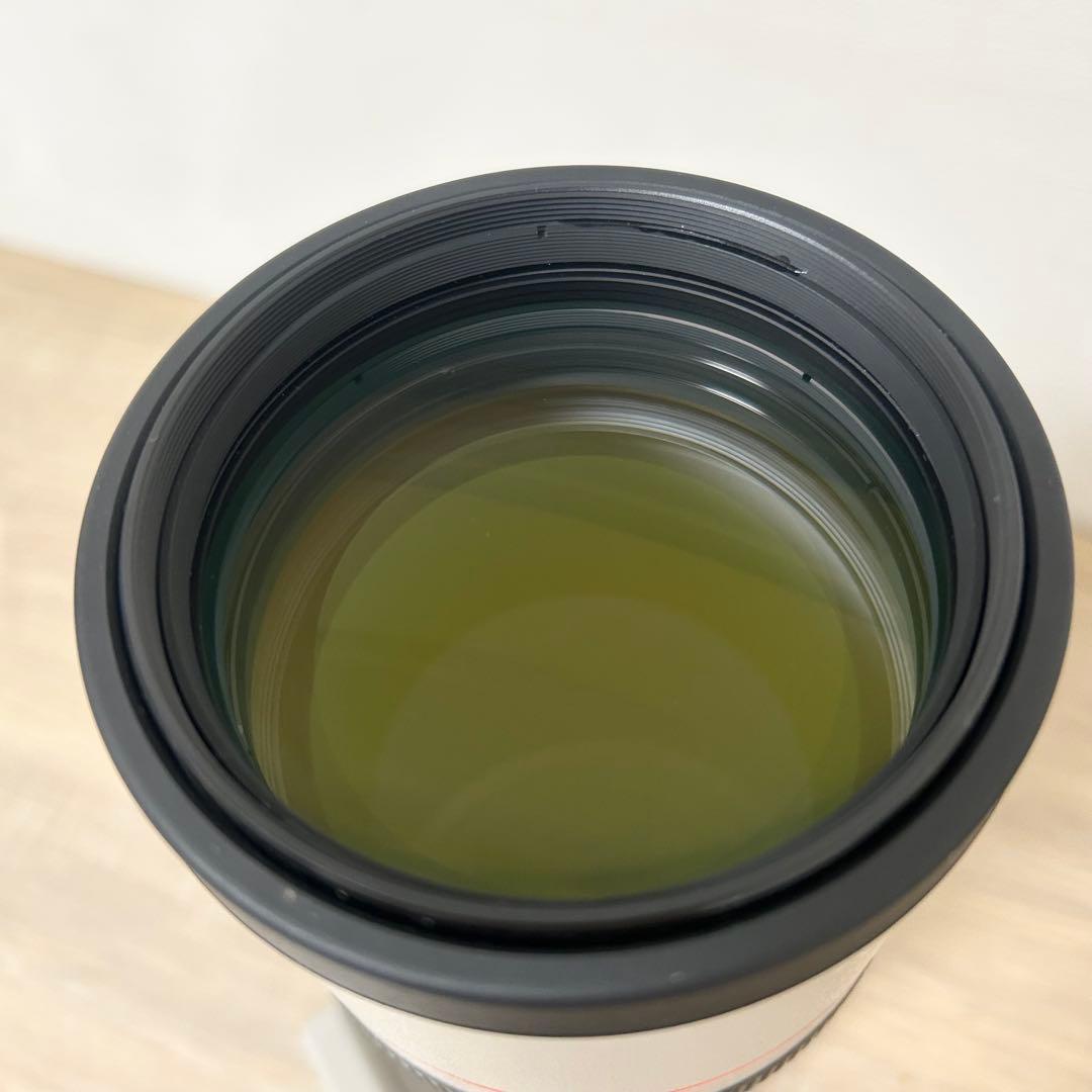 Canon キャノン LENS EF 300mm 1:4 L 望遠レンズ