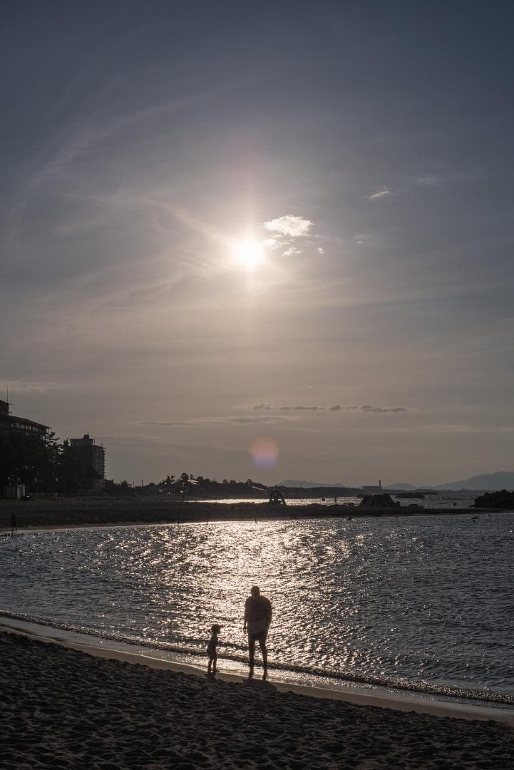 おおにし様　最初期モデル！標準の帝王 Planar 50mm F1.4 AEJ