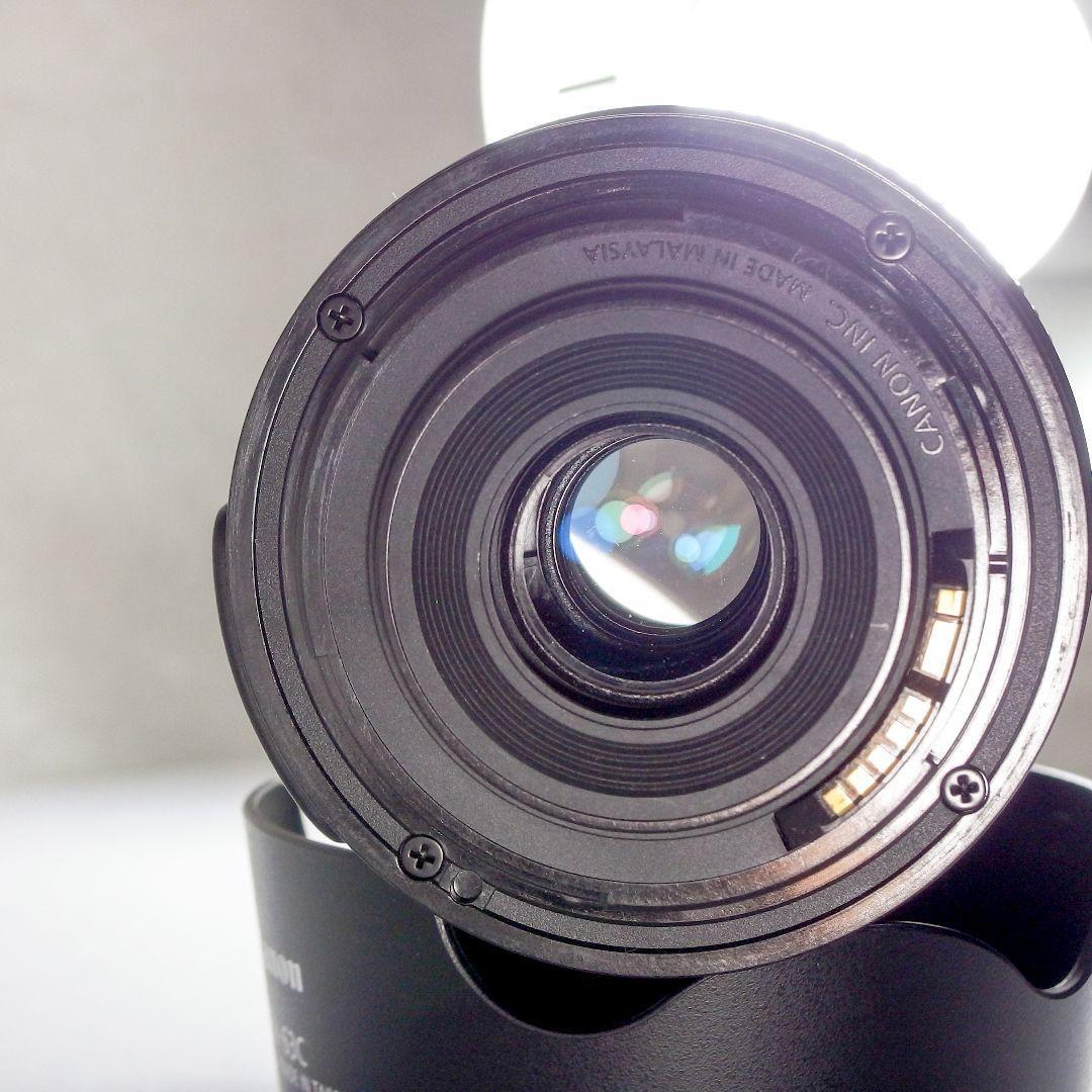 完動美品 Canon EF-S 55-250mm f4-5.6 IS STM