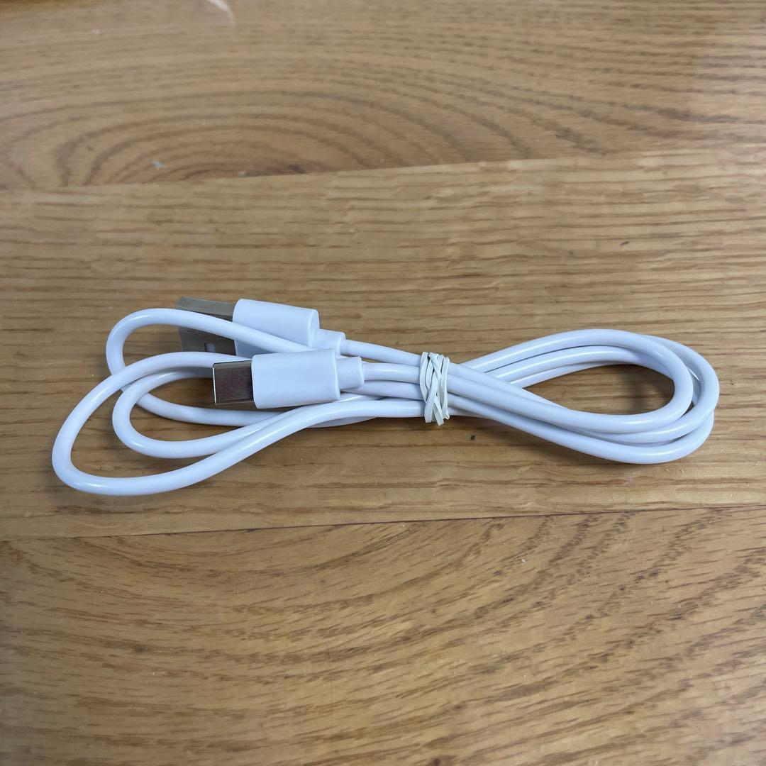 ▼SALONIA EMSリフトブラシ　SAL22206SL　美容家電　美顔器