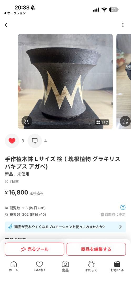 リー 樣確認專用手作植木鉢 XLサイズ 2点検（ 塊根植物 グラキリス パキプス