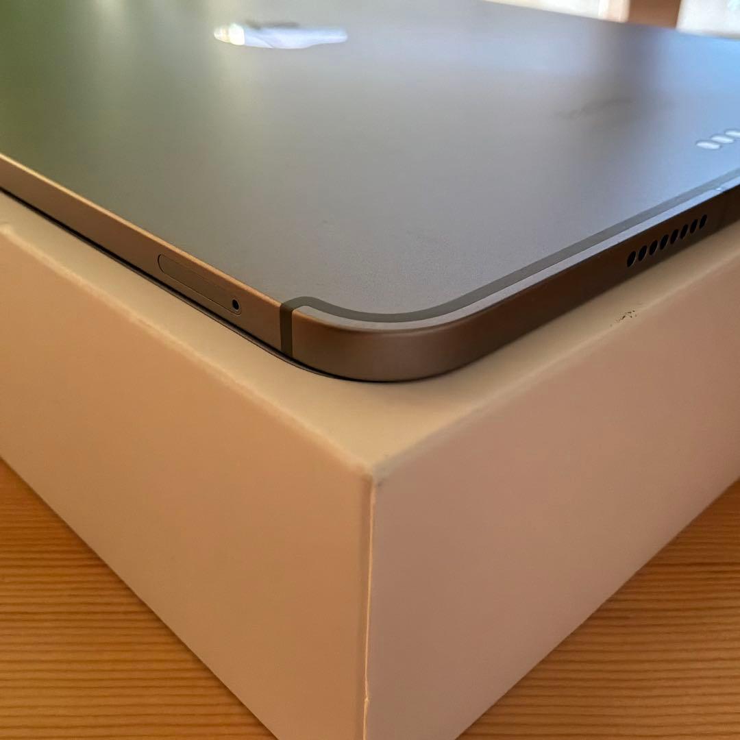 Apple iPadPro 11inch M2 Wi-Fi&セルラー 256GB