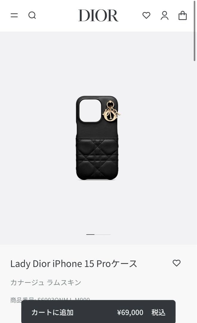 Christian Dior スマホケース　iphone13pro