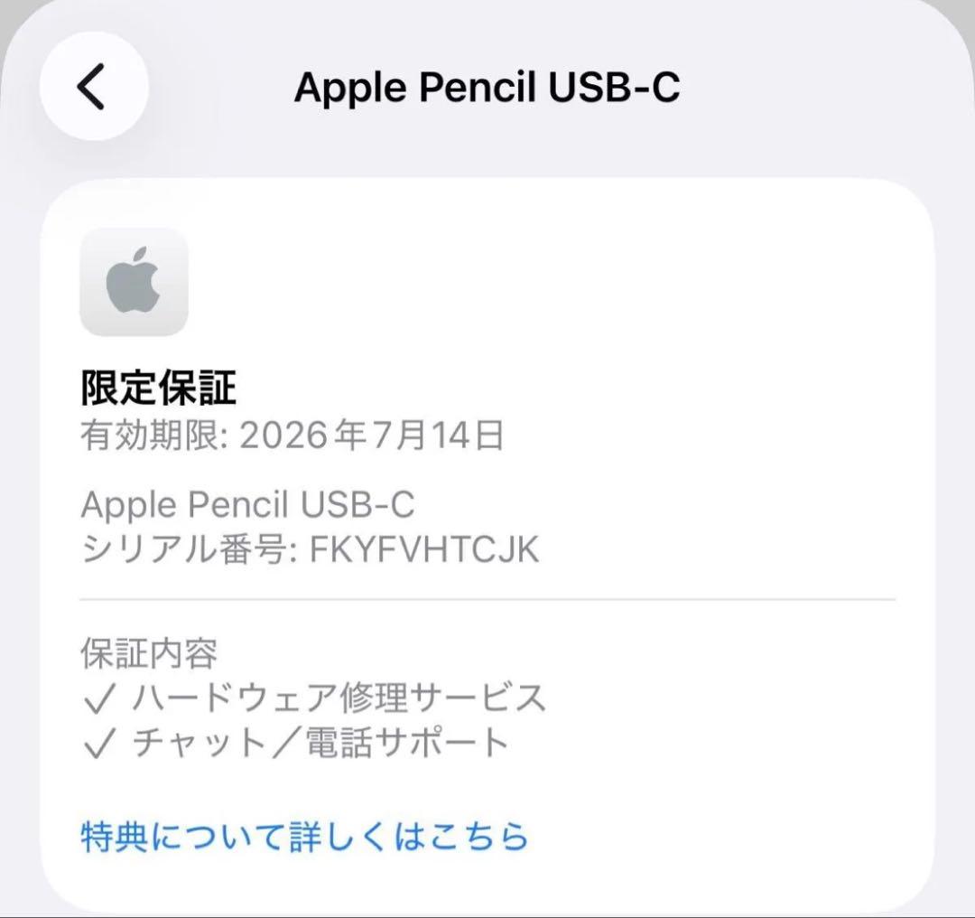 Apple Pencil USB-C アップルペンシル 美品　保証つき本体のみ