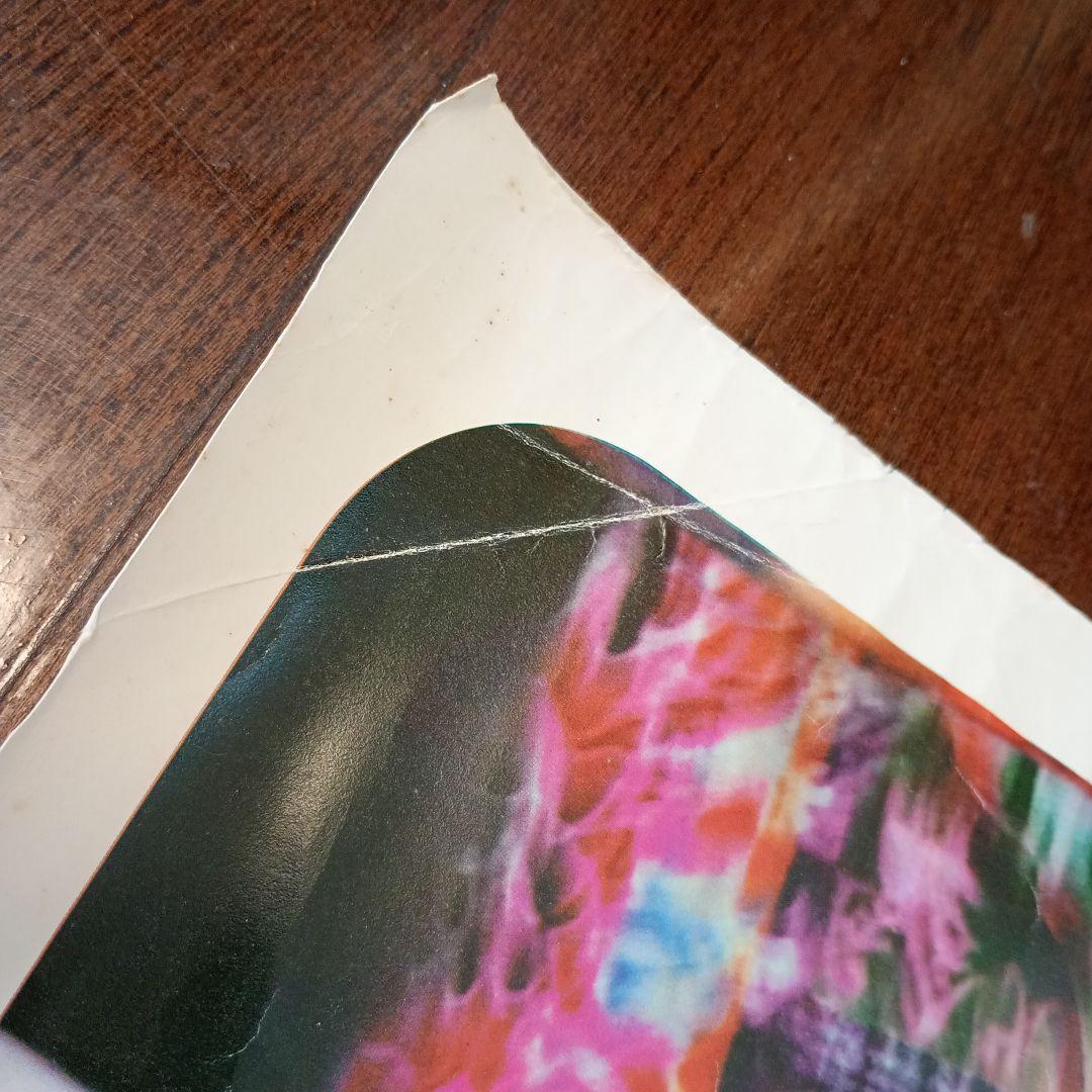 bjork postビョークポストビジュアルアートポスター