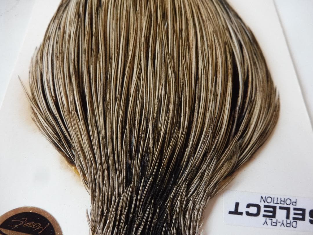 WHITING Silver ハックルケープ Golden Badger