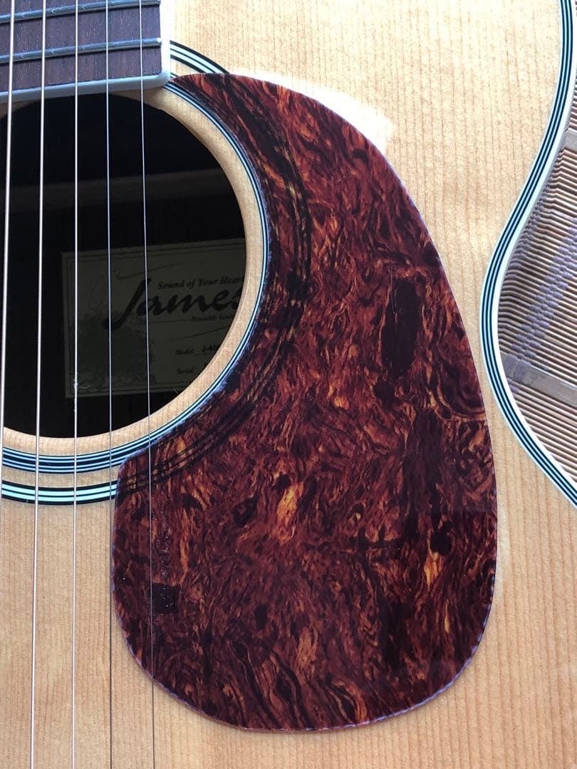 James ジェームス J450Aピックアップ