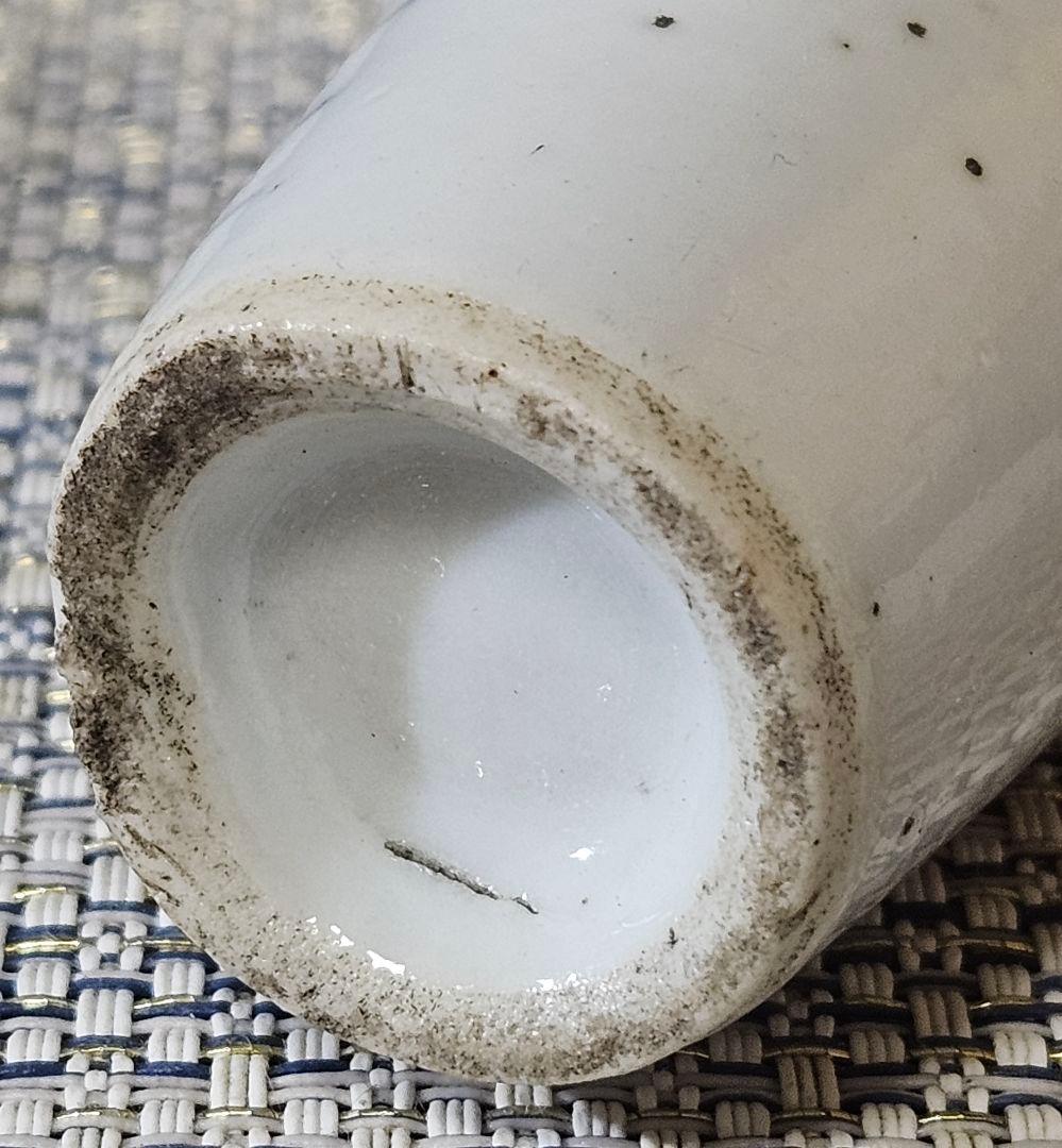 中国古美術　中国古陶磁器　清朝清代　青華　染付　水辺に鳥の図　小瓶　花入　鼻煙壺