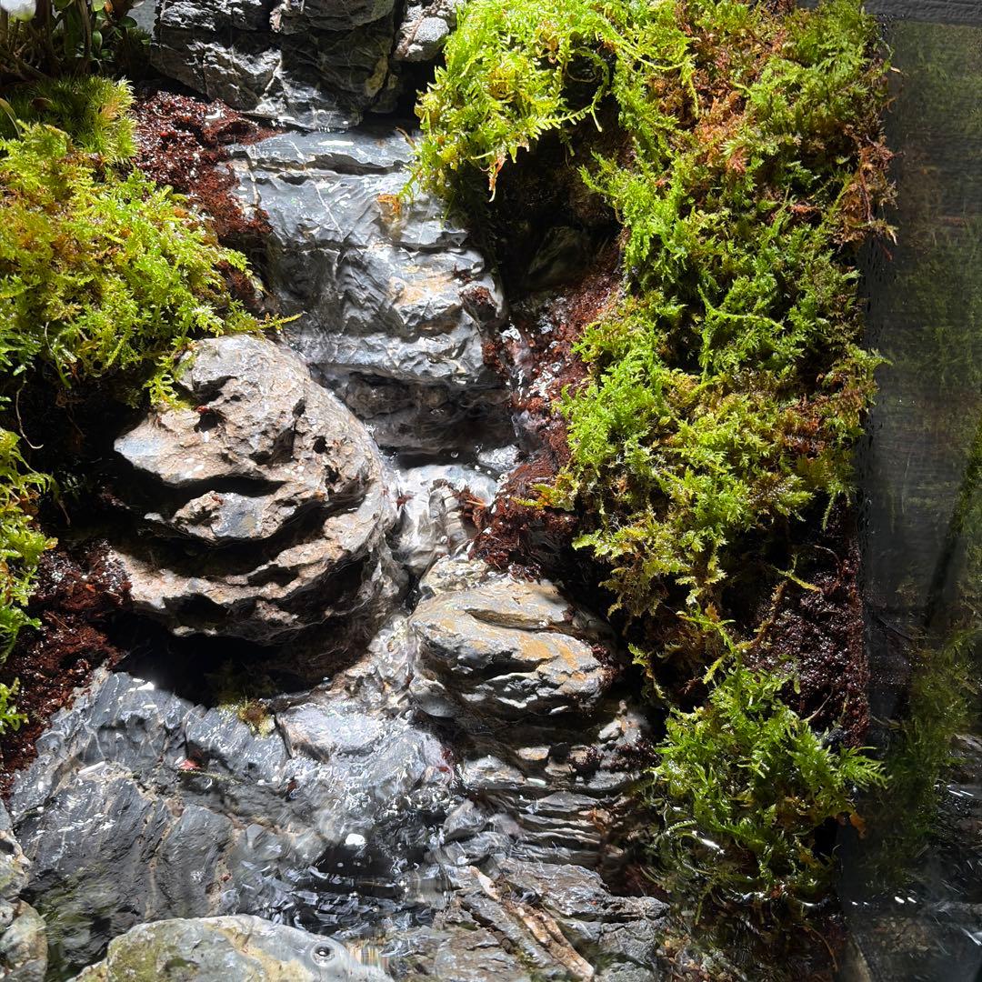 【受注生産】大きな滝のアクアテラリウム