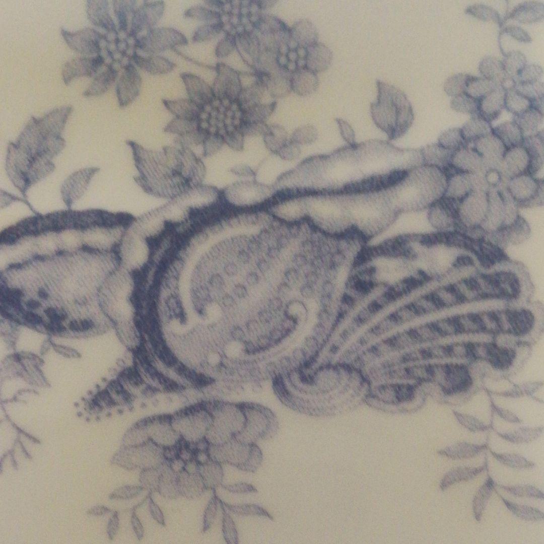 ウェッジウッド【Seashell】日本未入荷　セット　貝殻テーブルコーディネート