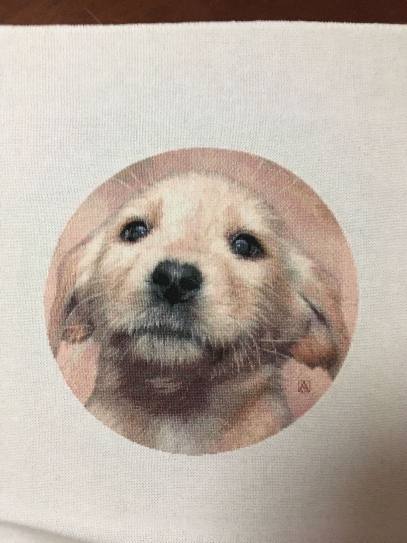 ラブラドールの仔犬　クロスステッチ刺繍完成品　(HAED社　25C) 額付き