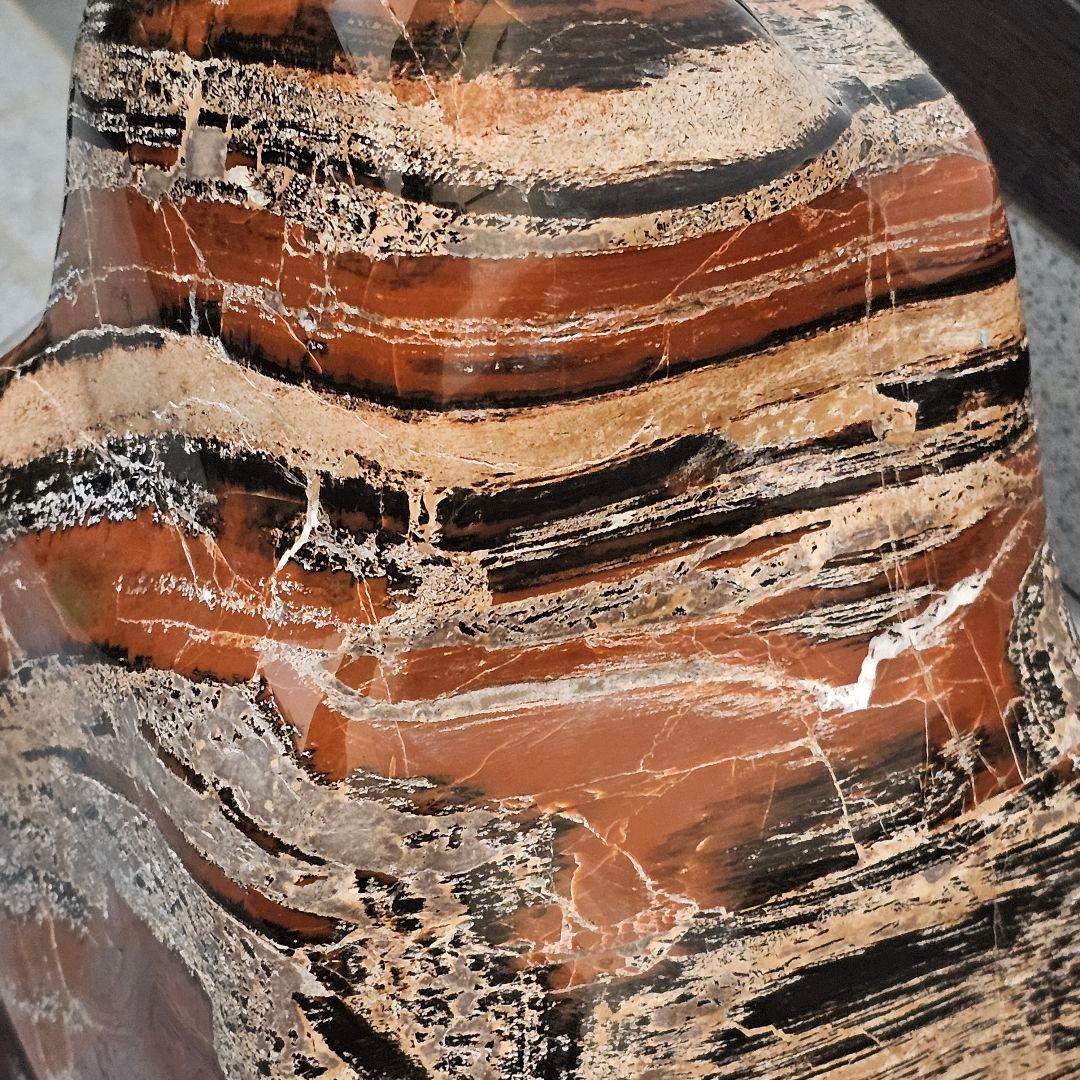 アリゾナ産珪化木51kg 木石　水石　観賞石