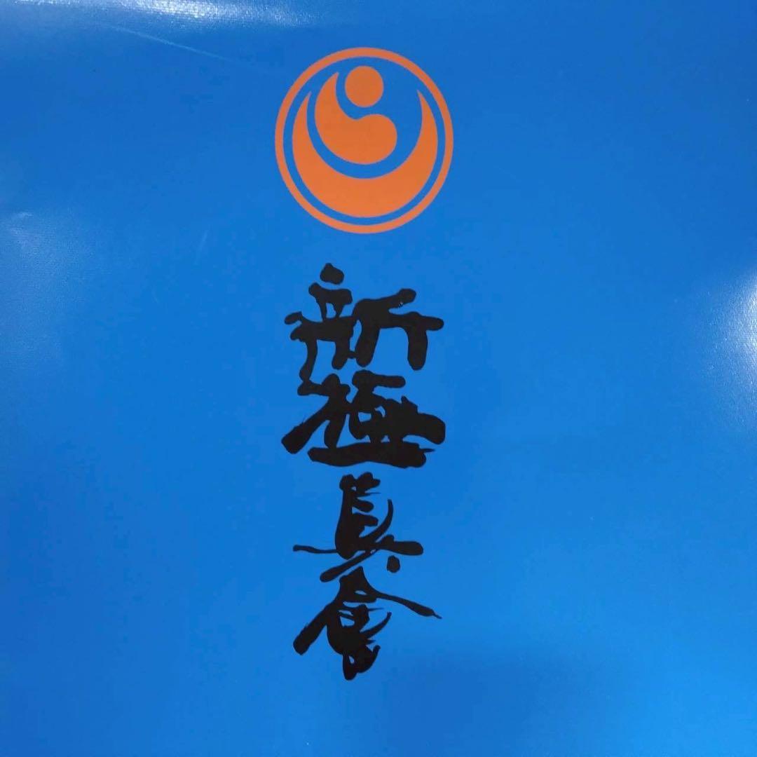 新極真会　空手　練習用　ミット　格闘技　ブルー