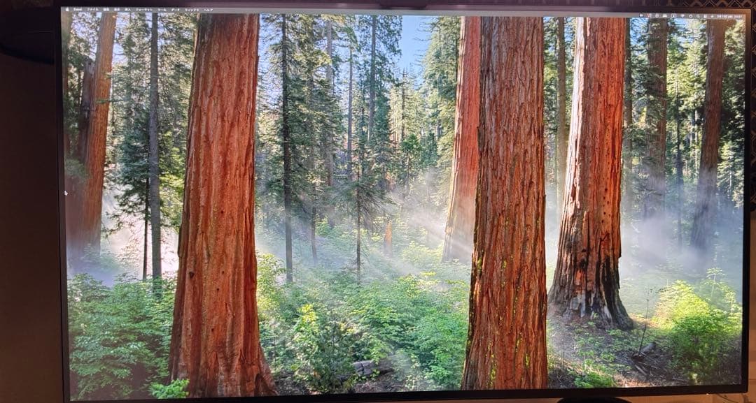 その他 DELL U3223QE