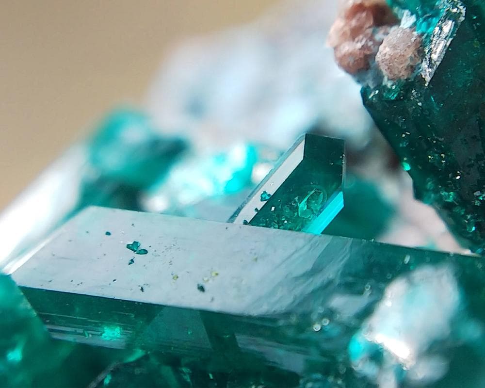 526 ダイオプテーズ プランへ石 翠銅鉱 クラスター コンゴ産