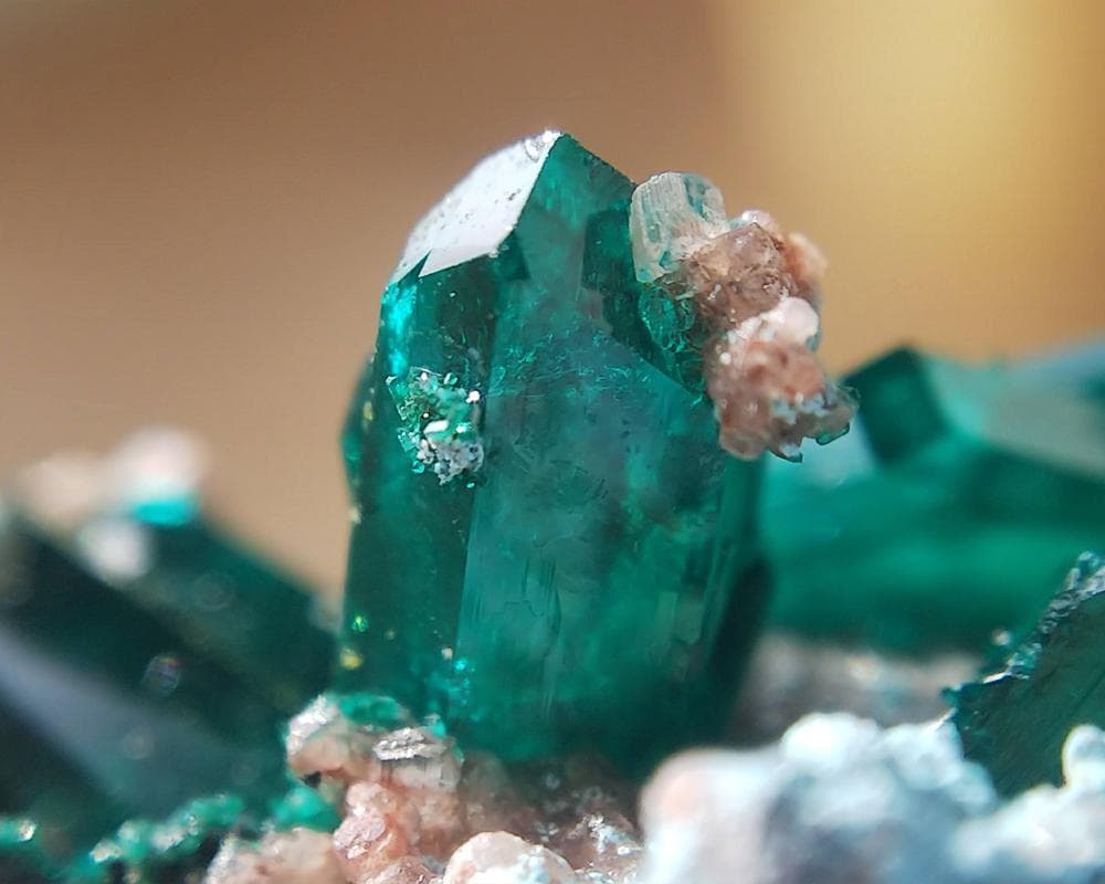 526 ダイオプテーズ プランへ石 翠銅鉱 クラスター コンゴ産