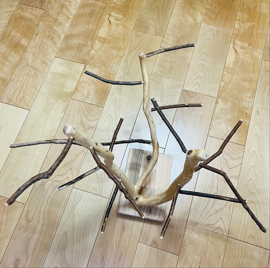 【小鳥さん用】天然木セイヨウズ♬森のバードスタンド