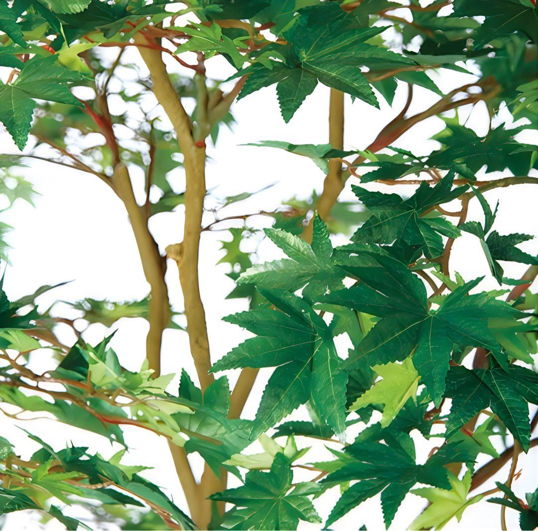 光触媒　人工観葉植物　フェイクグリーン　ヤマモミジ GREEN コアッド200