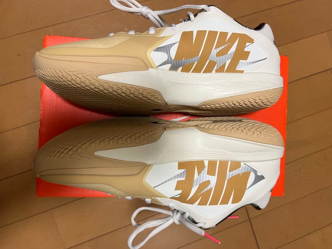 NIKE ナイキ　エアズームGTカットクロスEP