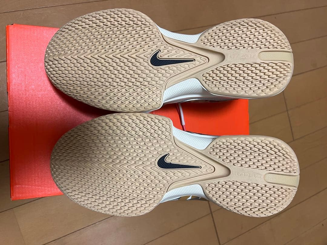 NIKE ナイキ　エアズームGTカットクロスEP