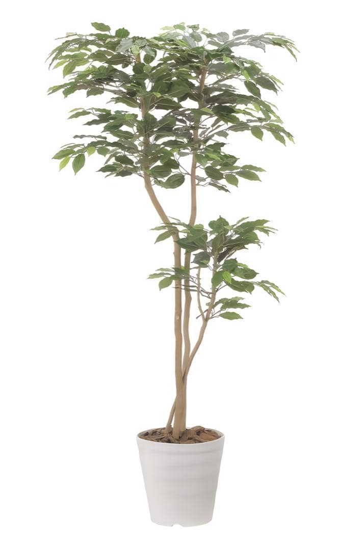 光触媒　人工観葉植物　フェイクグリーン　デザインベンジャミン1.6