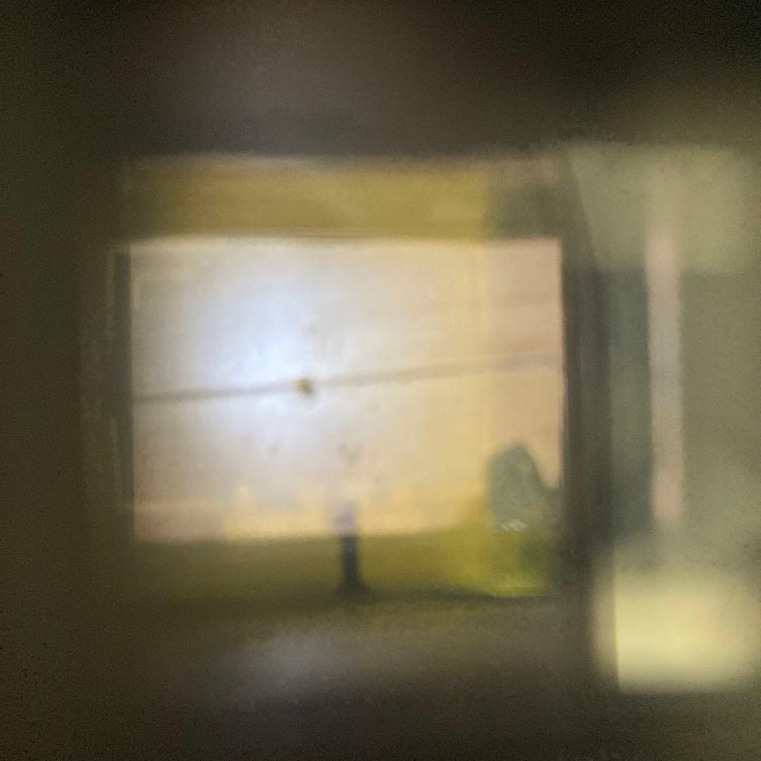 NIKON L35AD フィルムカメラ