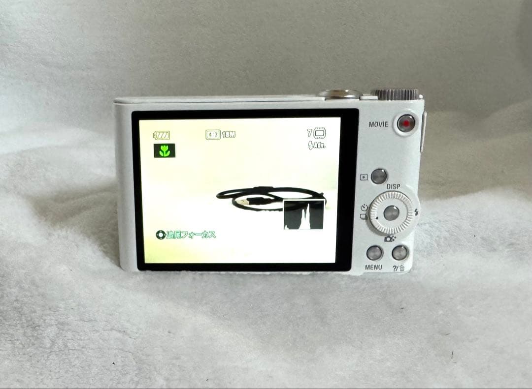 デジタルカメラ SONY DSC-WX300 #2817