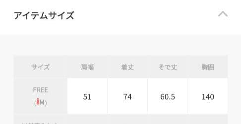 最終価格【新品】カオス☆2025 WHY NOT NOW プルーフデニムシャツ