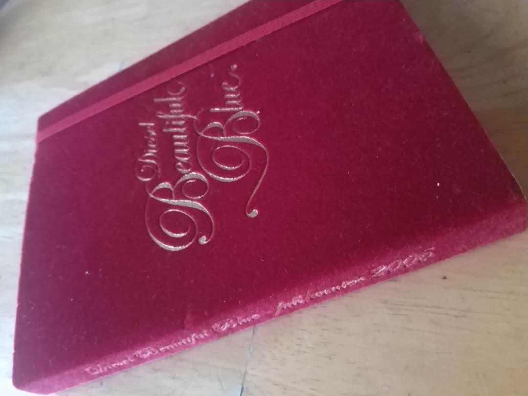 レア　稀少品★DISEL　ディーゼル　手帳型メモパッド＋ポストカード2枚