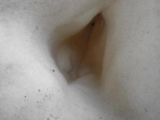 n*ん様 米軍 空軍　 N-1B 　マクラックブーツ XS ビンテージ　1989